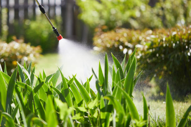 24/7 Emergency Mosquito Control experts in Kirkland, IL